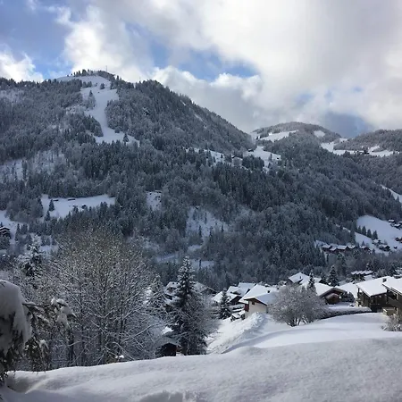 Apartment 3 Pieces Renove Avec Terrasse, Proche Des Pistes - La Clusaz, Le Cret Du Merle - Fr-1-459-28 La Clusaz