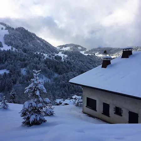 3 Pieces Renove Avec Terrasse, Proche Des Pistes - La Clusaz, Le Cret Du Merle - Fr-1-459-28 Apartment La Clusaz